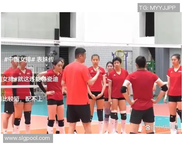 排球之美：深入成都排球队灵活性训练与战术解析