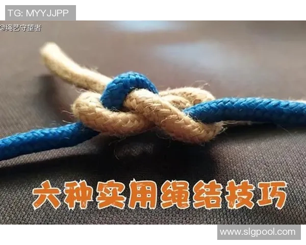 排球新手必看：轻松掌握配合技巧的入门指南与实用建议